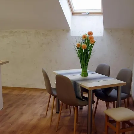 Kaszubski Staw Apartment *